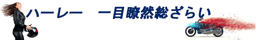 ハーレー 一目瞭然総ざらい